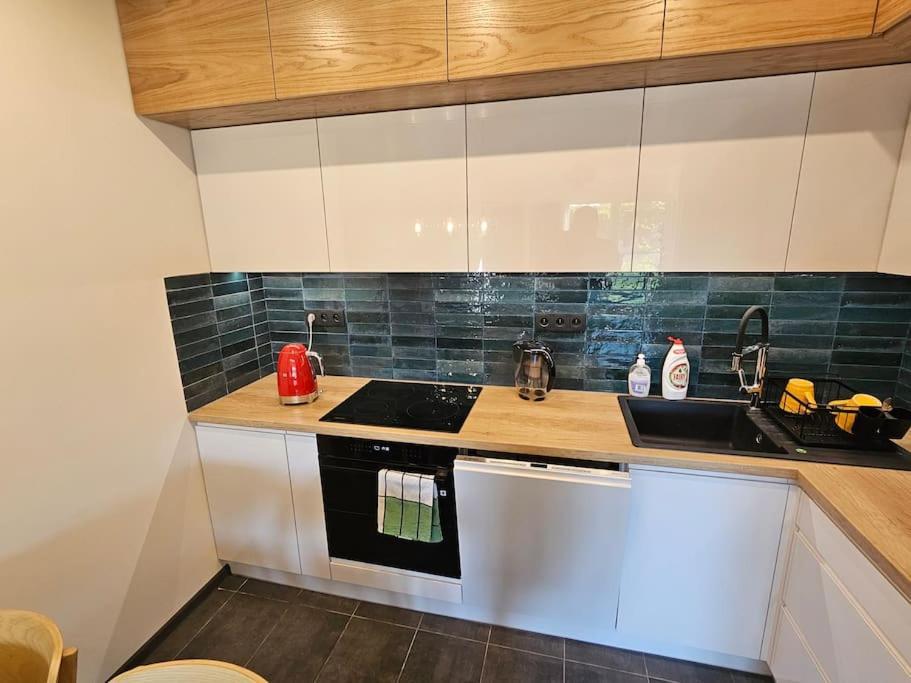 Apartment Przy Loftach U Scheiblera Parking Podziemny, Sniadaniownia Lodz (Lodz)