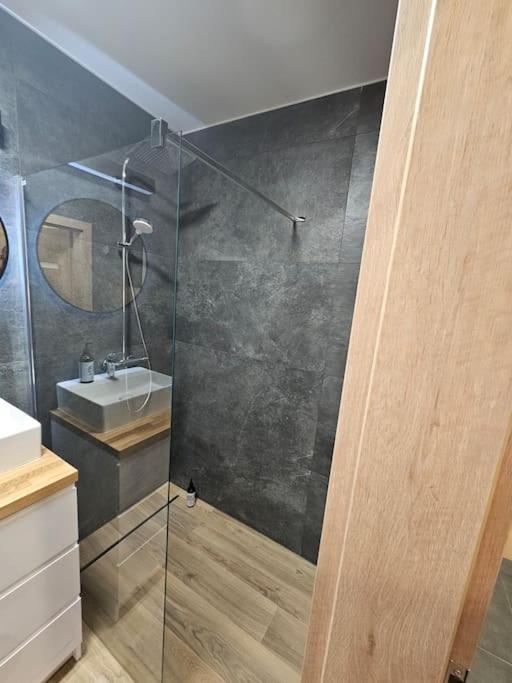 Przy Loftach U Scheiblera Parking Podziemny, Sniadaniownia Apartment Lodz (Lodz)